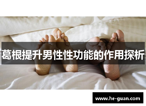 葛根提升男性性功能的作用探析