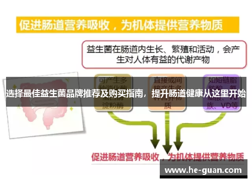 选择最佳益生菌品牌推荐及购买指南，提升肠道健康从这里开始